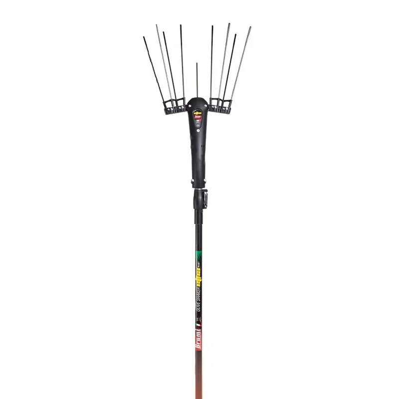 Vareador Brumi Etna telescópico 12V